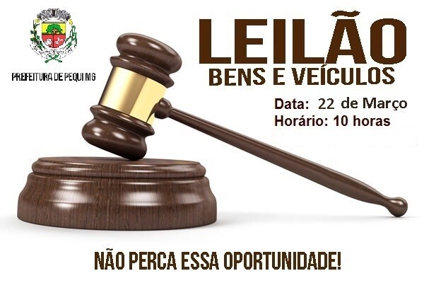 leilao-0012019-de-bens-inserviveis-municipio-de-pequi