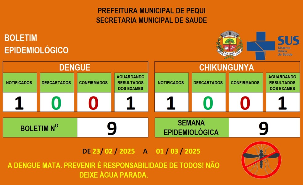 boletim-da-dengue-06-03